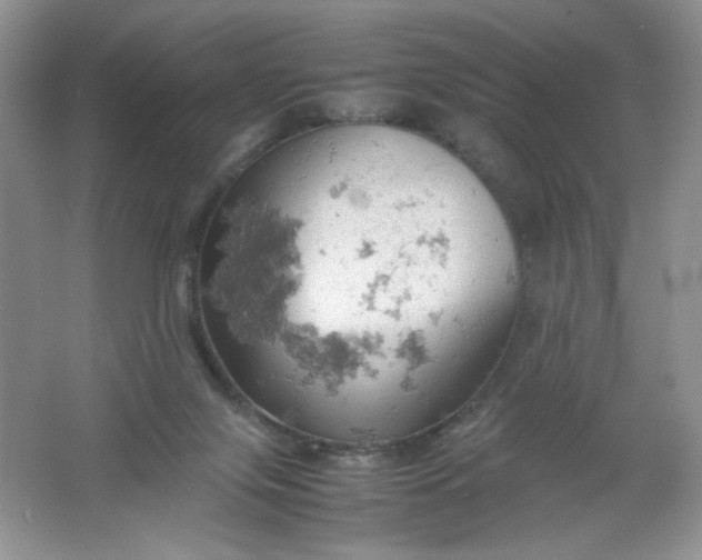 X0000061740071200512161701