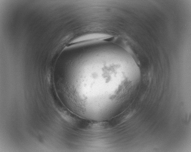 X0000061740072200512161701