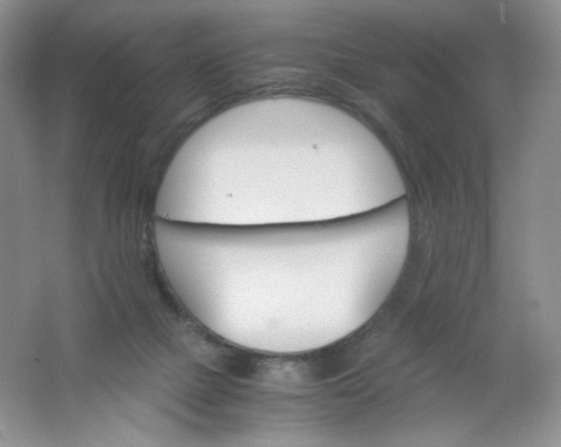 X0000061740073200512161701