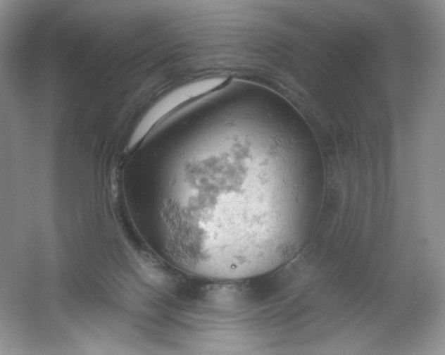 X0000061740074200512161701