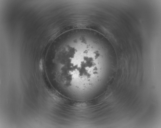 X0000061740075200512161701