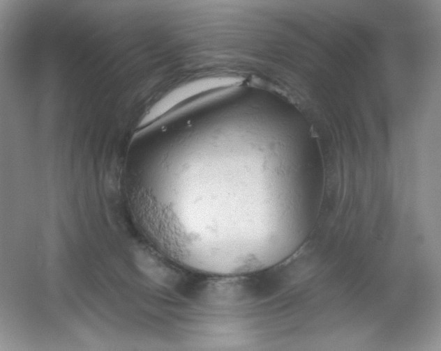 X0000061740078200512161701