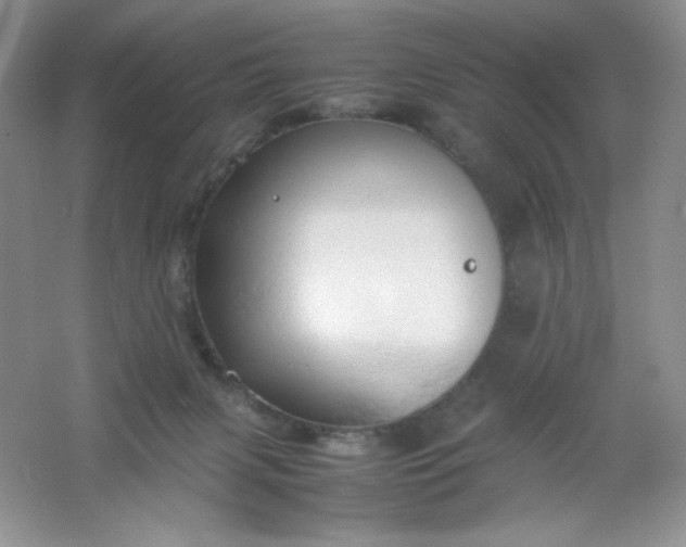 X0000061740079200512161701