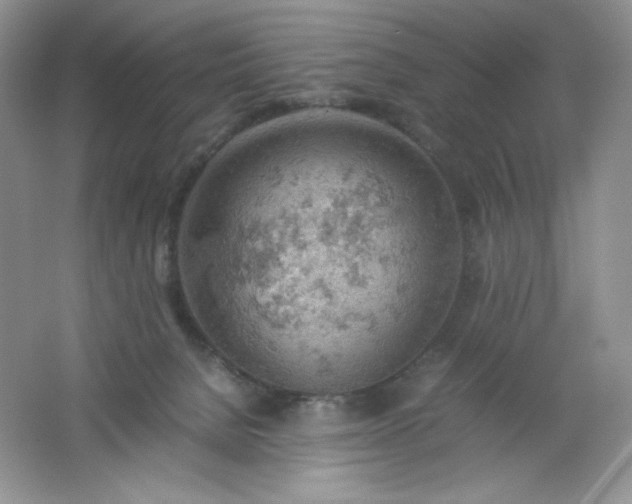 X0000061740080200512161701