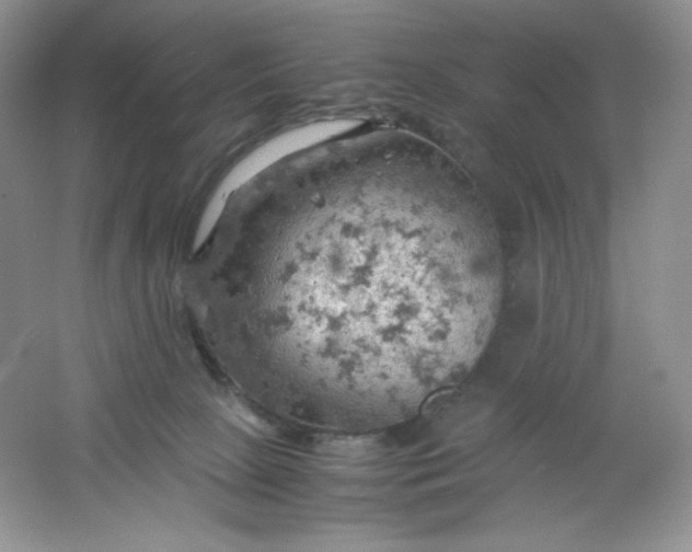 X0000061740081200512161701