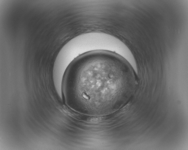 X0000061740084200512161701