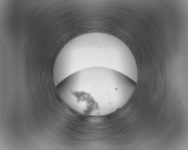 X0000061740085200512161701