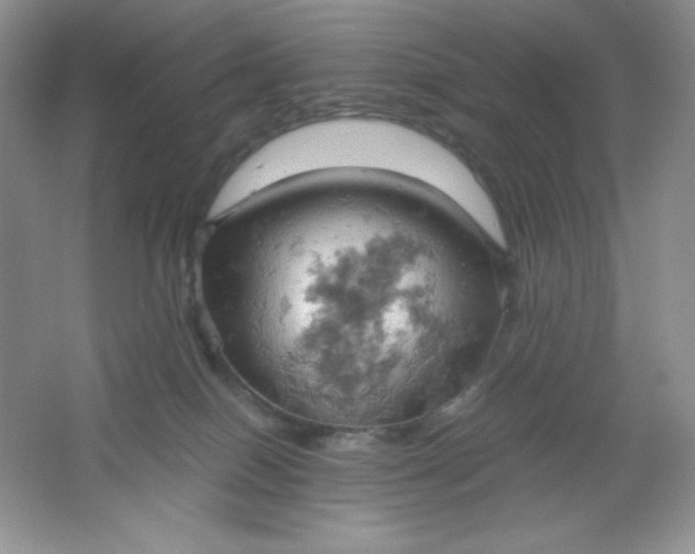 X0000061740086200512161701