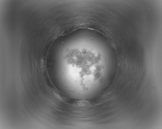 X0000061740087200512161701