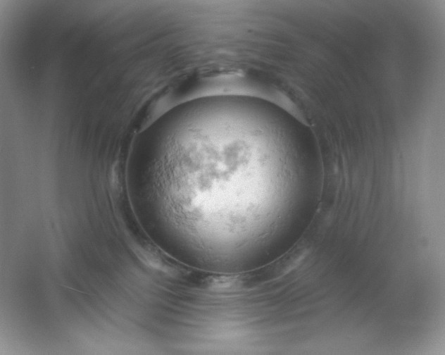 X0000061740088200512161701