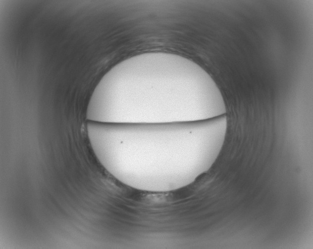 X0000061740089200512161701