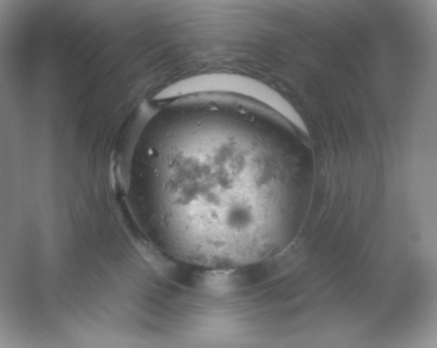 X0000061740090200512161701