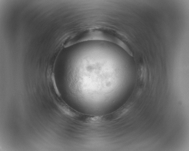 X0000061740092200512161701