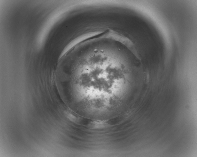 X0000061740093200512161701