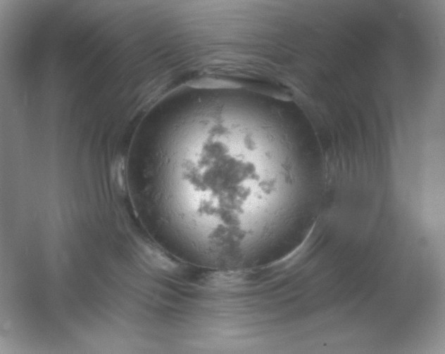 X0000061740094200512161701