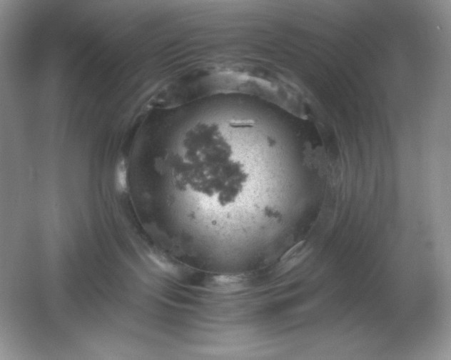 X0000061740095200512161702