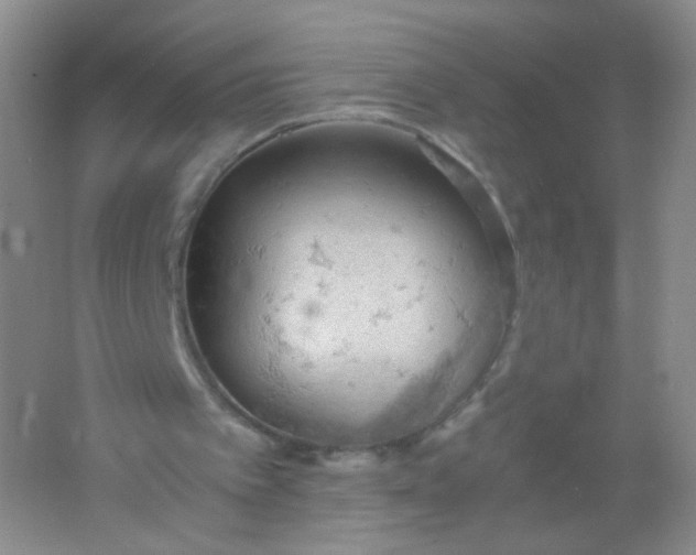 X0000061740097200512161701