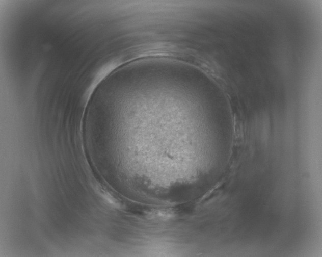 X0000061740099200512161701