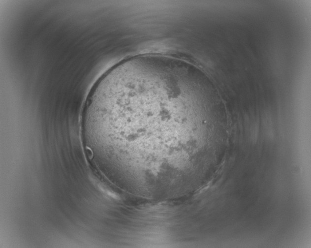 X0000061740100200512161701