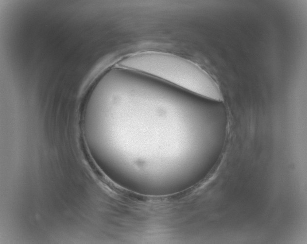 X0000061740101200512161701