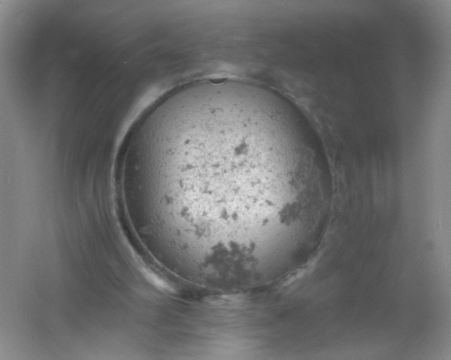 X0000061740102200512161701