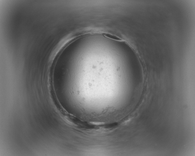 X0000061740103200512161701