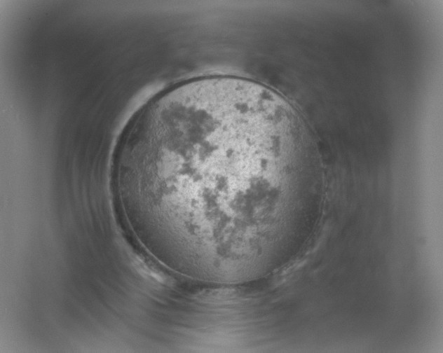 X0000061740104200512161701