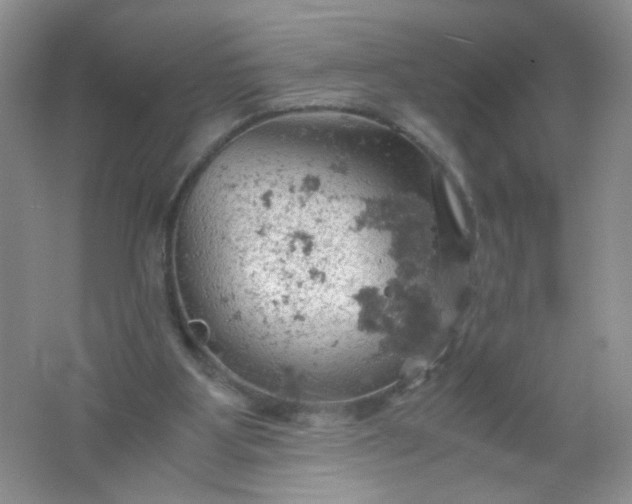 X0000061740107200512161701