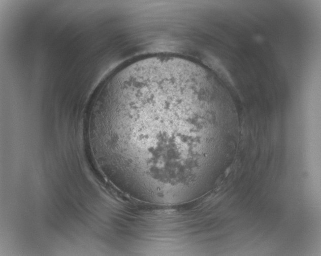 X0000061740108200512161700