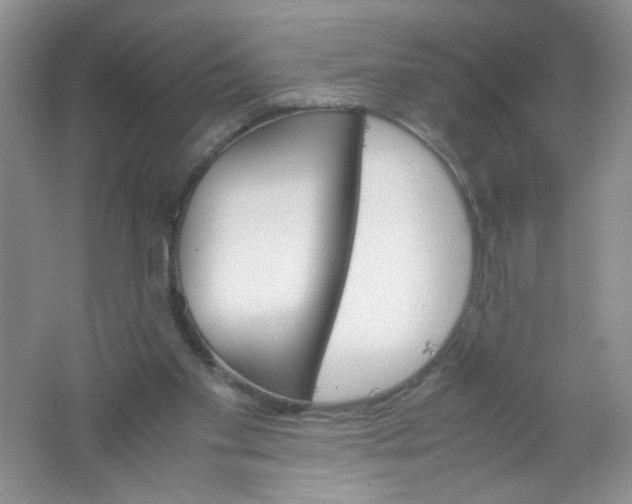 X0000061740109200512161700