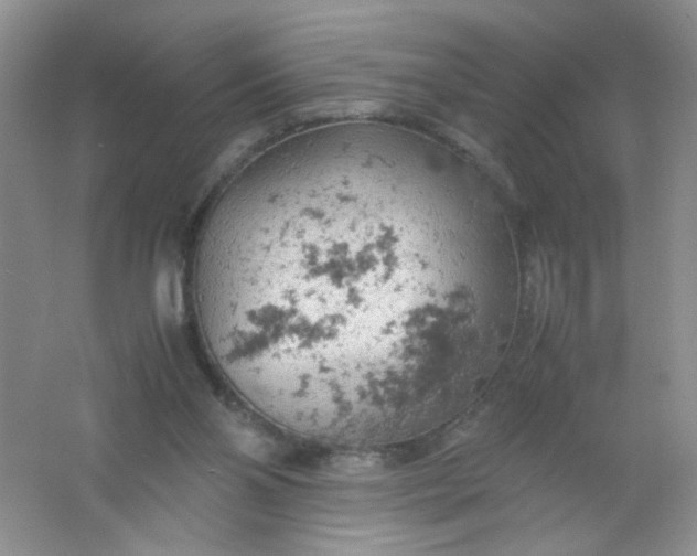 X0000061740110200512161700