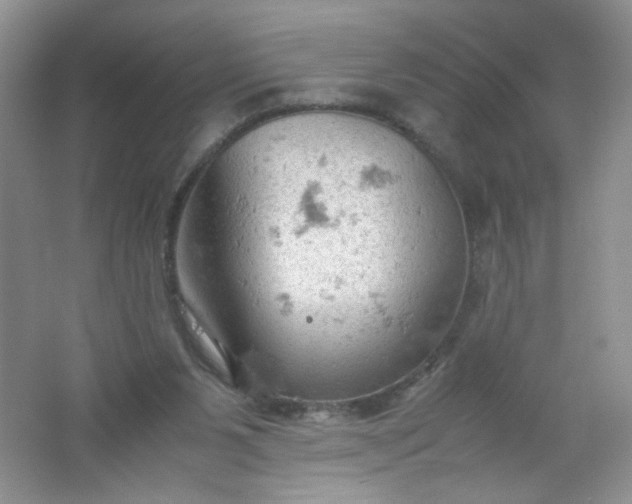 X0000061740111200512161700