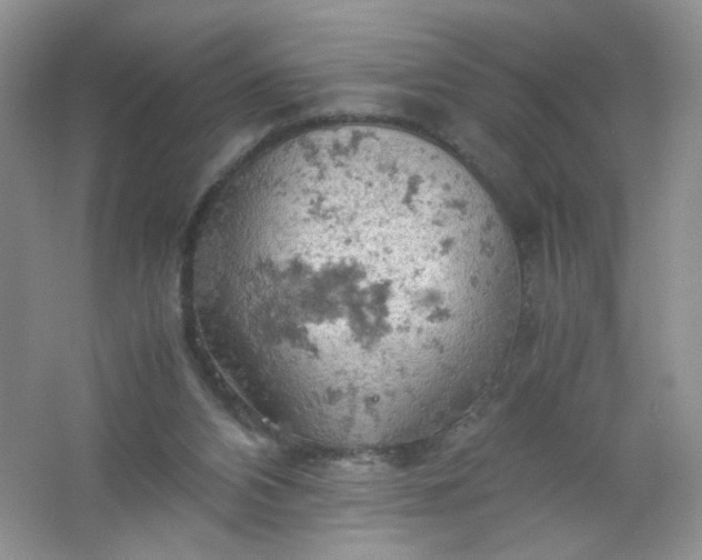 X0000061740112200512161700