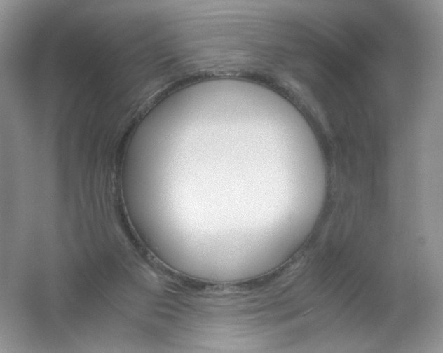 X0000061740113200512161700