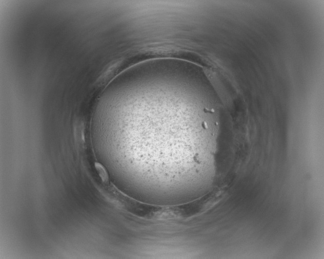 X0000061740115200512161700