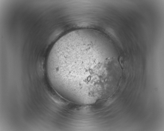 X0000061740116200512161700