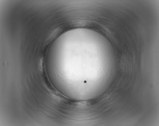 X0000061740118200512161700