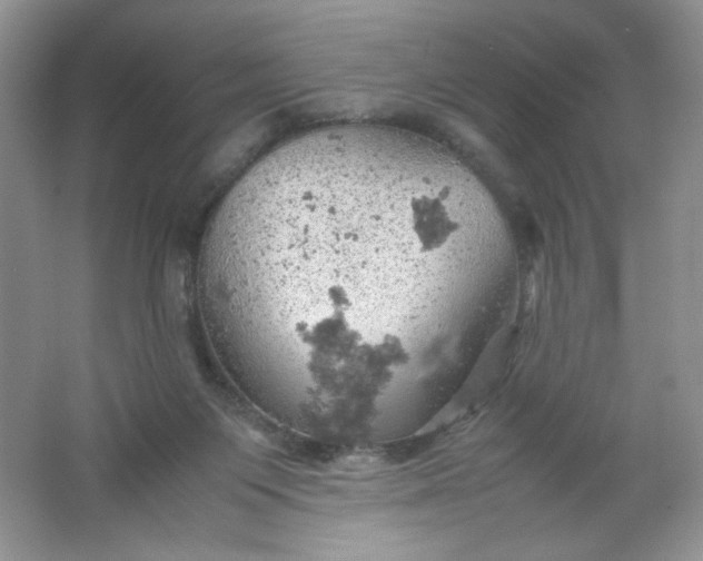 X0000061740119200512161700