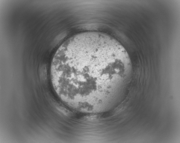 X0000061740120200512161700