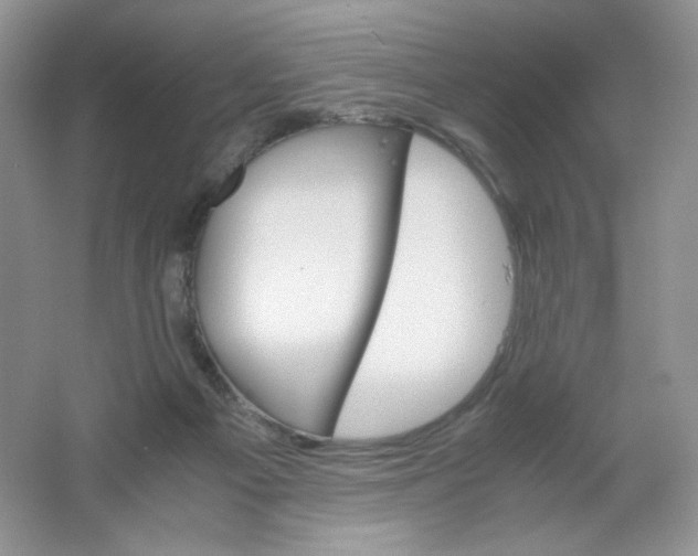 X0000061740121200512161700