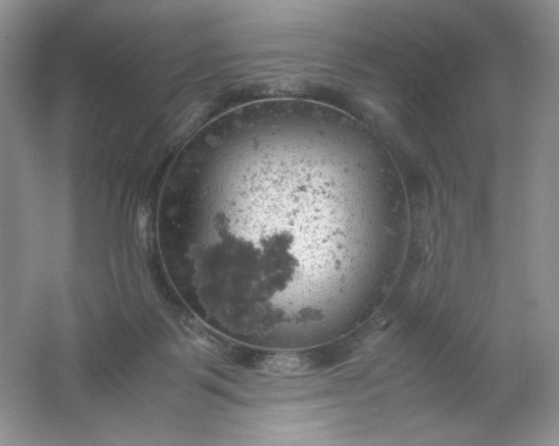 X0000061740123200512161700