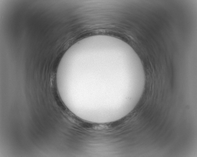 X0000061740125200512161700