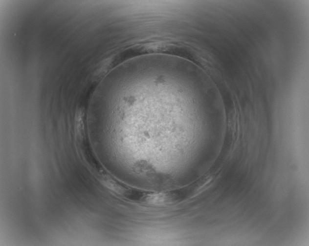 X0000061740127200512161700