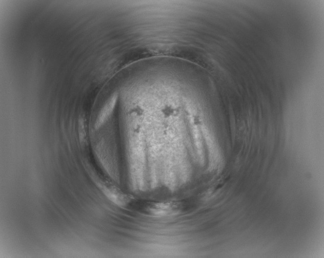 X0000061740130200512161700