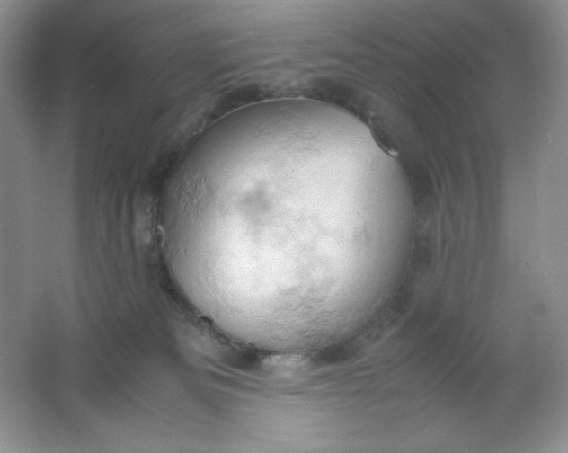 X0000061740133200512161700