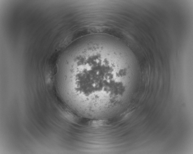 X0000061740134200512161700