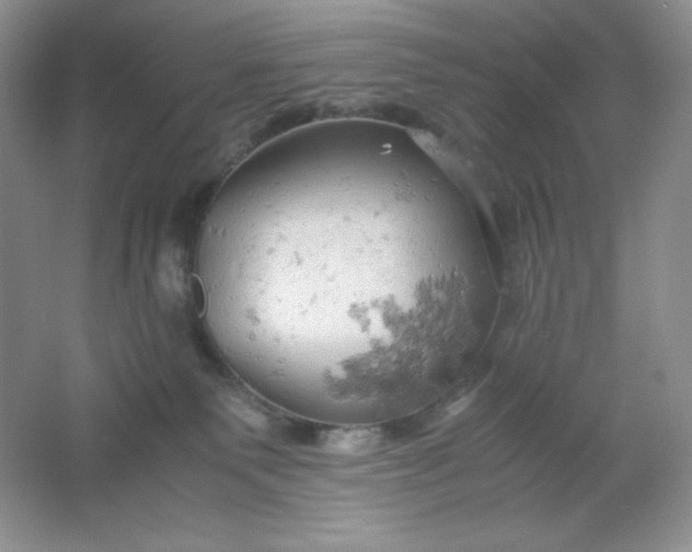 X0000061740135200512161700