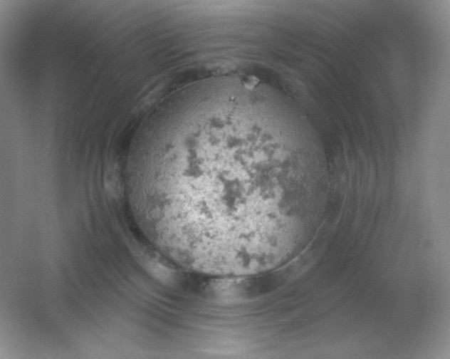 X0000061740136200512161700