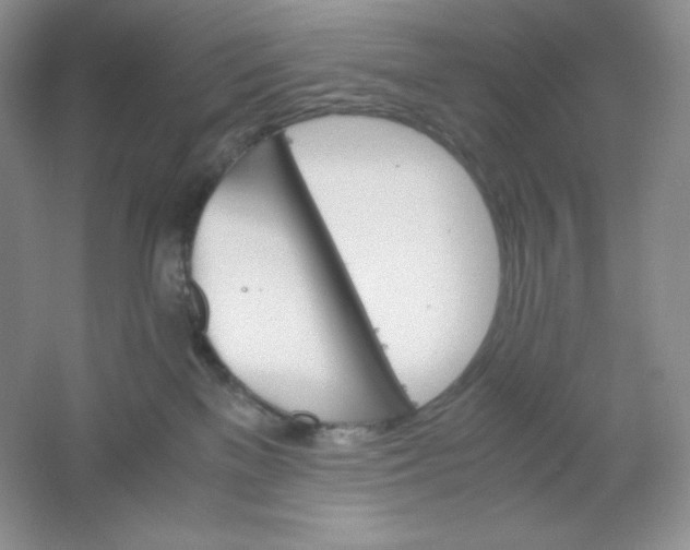 X0000061740137200512161700