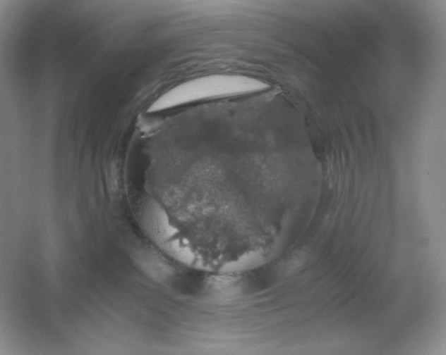 X0000061740139200512161700